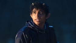 Percy Jackson and the Olympians 1x1